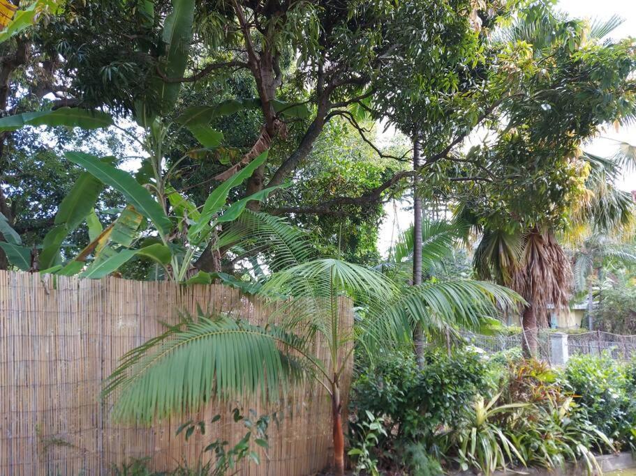 Havre De Verdure 2 Personnes Noël المظهر الخارجي الصورة