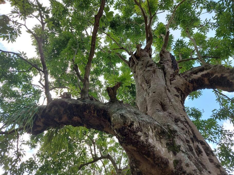 Havre De Verdure 2 Personnes Noël المظهر الخارجي الصورة